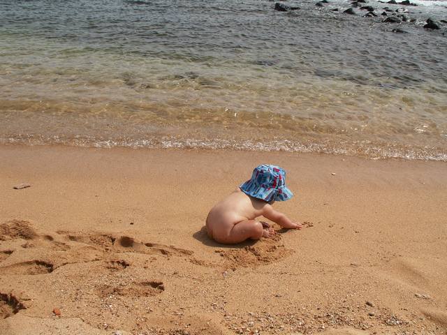 IMG_97.jpg  (58.7 Kb)