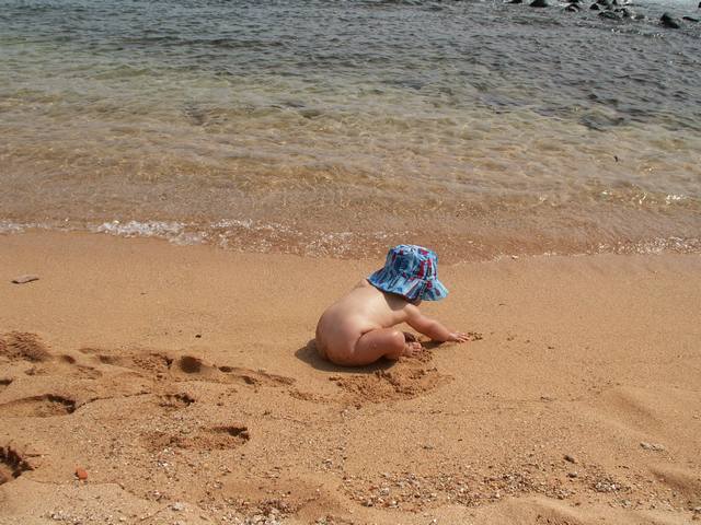 IMG_98.jpg  (58.2 Kb)