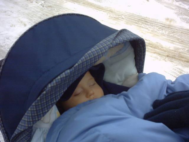 IMG00002.JPG  (27.6 Kb)