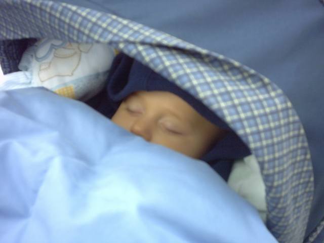 IMG00003.JPG  (22.9 Kb)