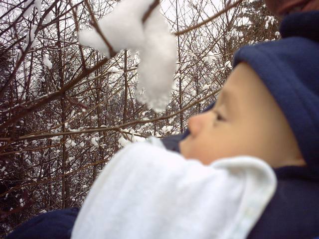IMG00004.JPG  (57.6 Kb)