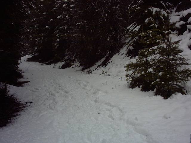 IMG00014.JPG  (38.3 Kb)