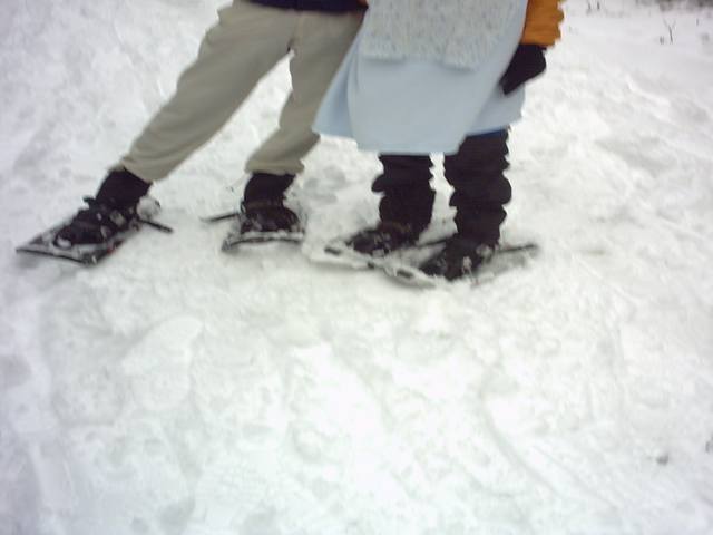 IMG00019.JPG  (24.1 Kb)