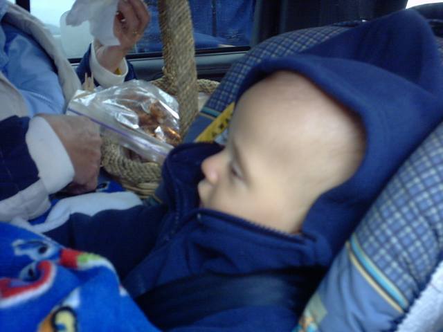 IMG00026.JPG  (31.8 Kb)