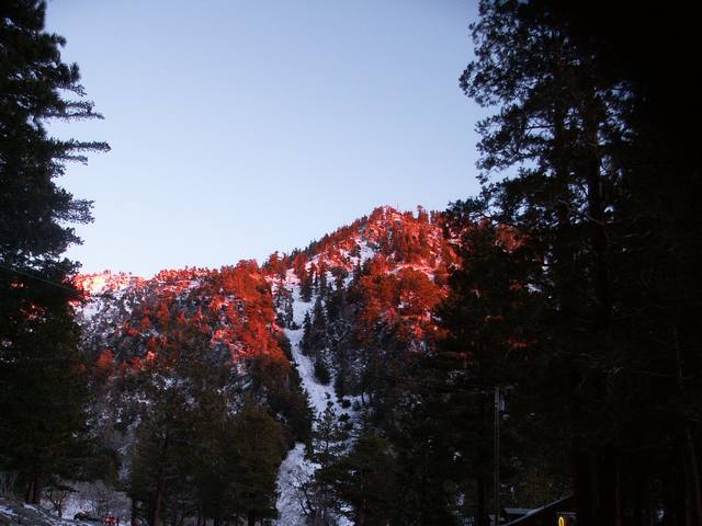 PICT0014.JPG  (43.5 Kb)