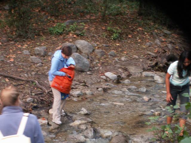 PICT0029.JPG  (53.1 Kb)
