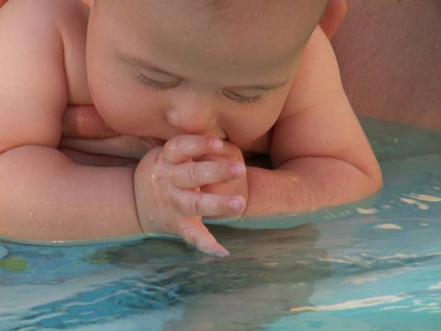PICT0060.JPG  (23.0 Kb)