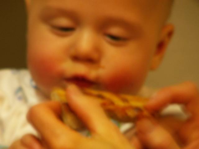 PICT0079.JPG  (16.9 Kb)