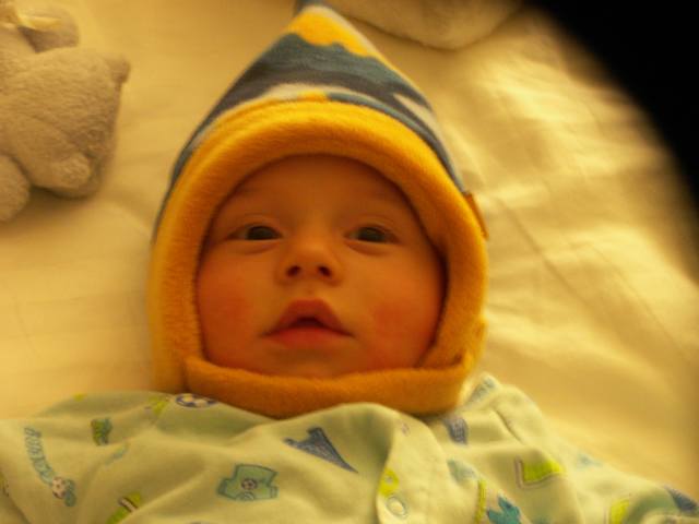 PICT0080.JPG  (25.5 Kb)
