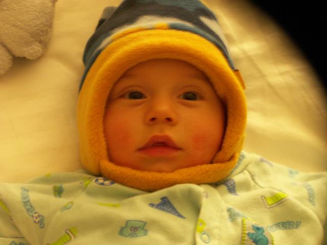 PICT0081.JPG  (26.9 Kb)