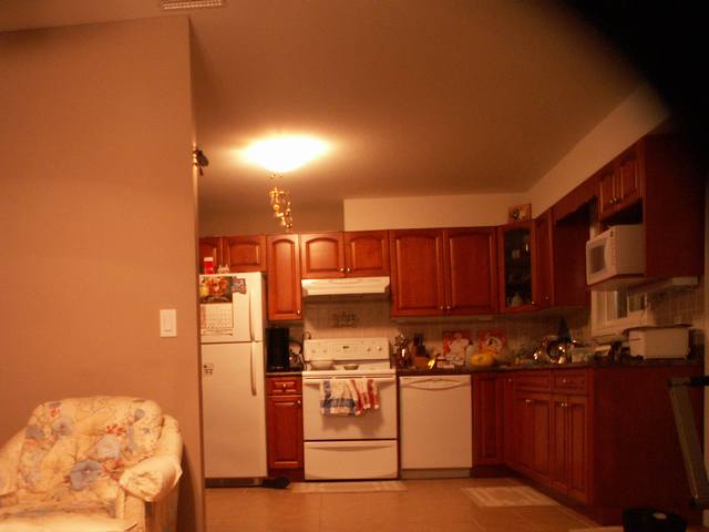 PICT1832.JPG  (27.0 Kb)