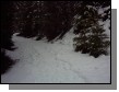 IMG00014.JPG  (38.3 Kb)