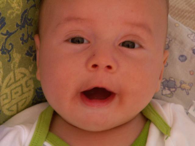 PICT1666.JPG  (23.4 Kb)