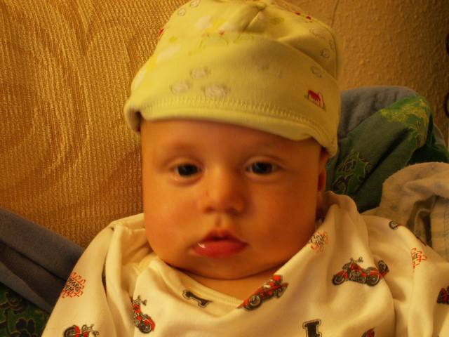 PICT1667.JPG  (38.0 Kb)