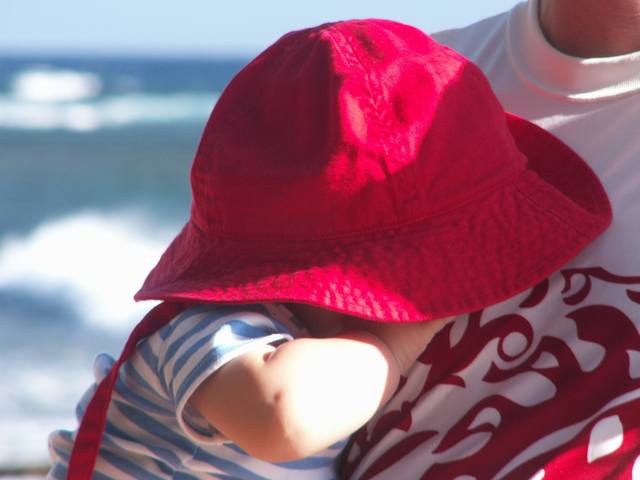 PICT1688.JPG  (28.6 Kb)