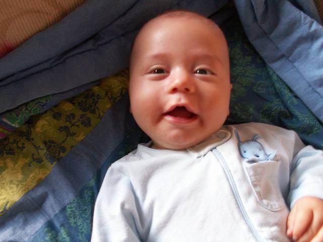 PICT1708.JPG  (33.3 Kb)