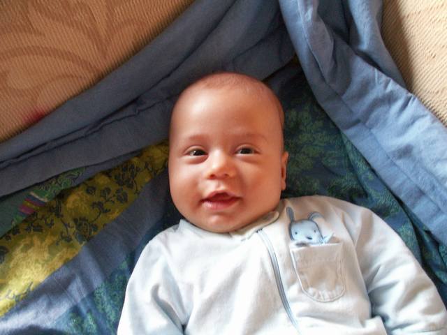 PICT1714.JPG  (37.6 Kb)