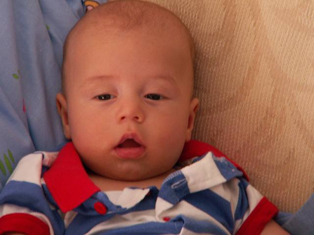 PICT1716.JPG  (30.9 Kb)