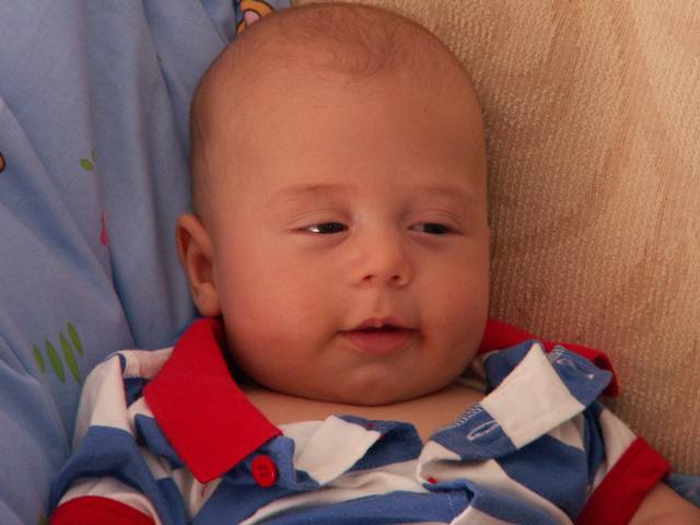 PICT1718.JPG  (32.1 Kb)