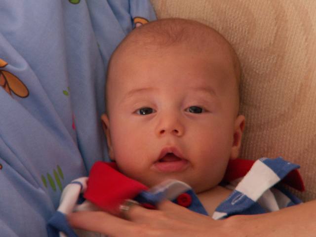 PICT1719.JPG  (24.9 Kb)