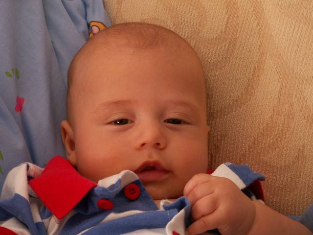 PICT1721.JPG  (33.7 Kb)