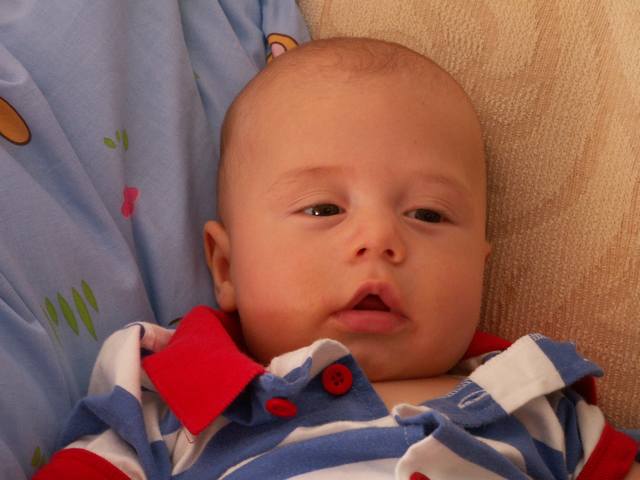 PICT1722.JPG  (32.7 Kb)