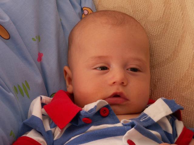 PICT1723.JPG  (33.6 Kb)