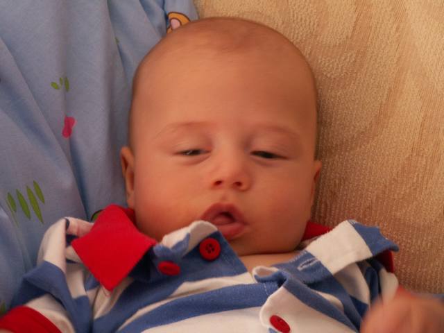 PICT1724.JPG  (30.5 Kb)