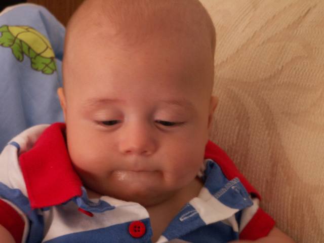 PICT1725.JPG  (24.8 Kb)