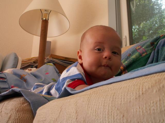 PICT1729.JPG  (34.3 Kb)