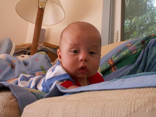 PICT1731.JPG  (36.2 Kb)