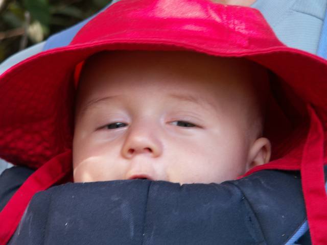 PICT1735.JPG  (25.4 Kb)