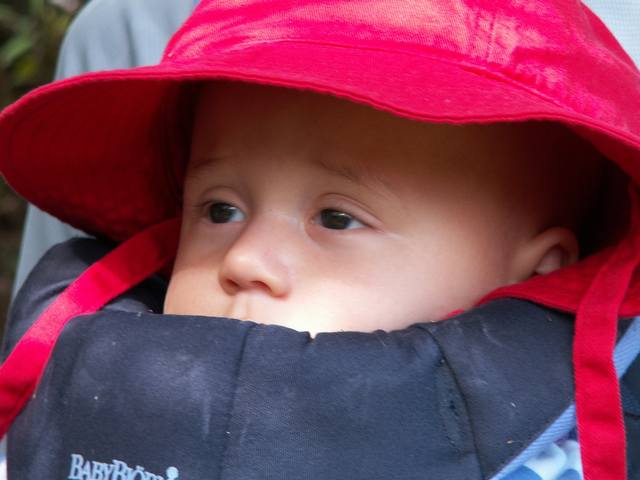 PICT1736.JPG  (30.7 Kb)