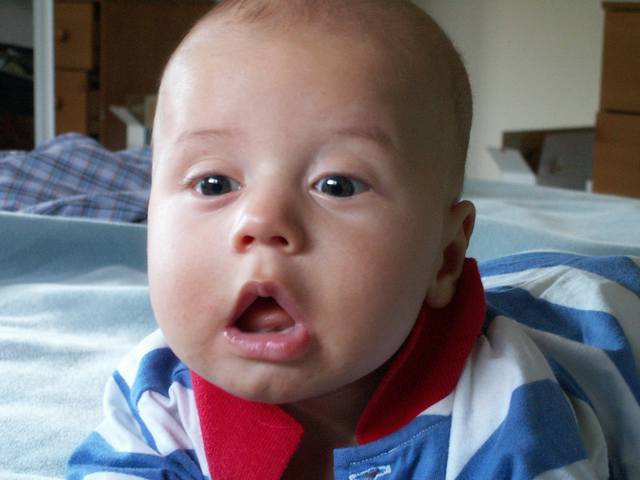 PICT1746.JPG  (30.2 Kb)