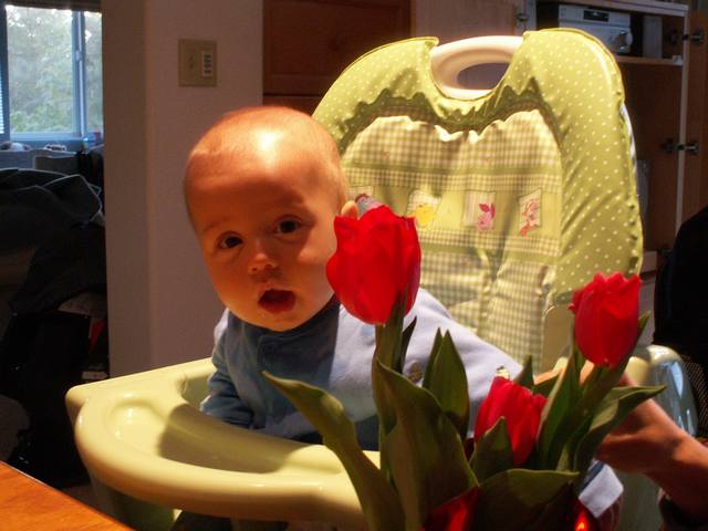 PICT0093.JPG  (37.9 Kb)