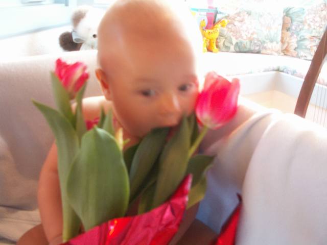 PICT0099.JPG  (24.2 Kb)