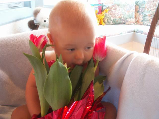 PICT0101.JPG  (32.2 Kb)