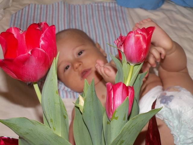 PICT0102.JPG  (36.4 Kb)