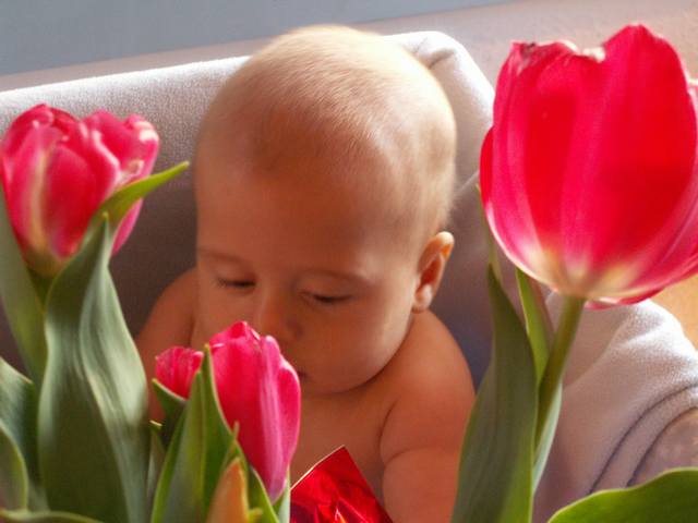 PICT0105.JPG  (29.8 Kb)