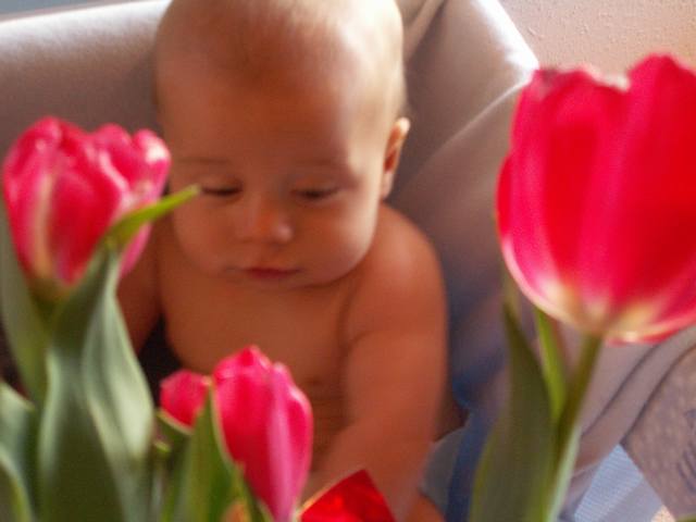 PICT0106.JPG  (24.4 Kb)