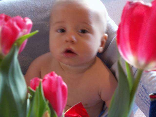 PICT0108.JPG  (26.4 Kb)