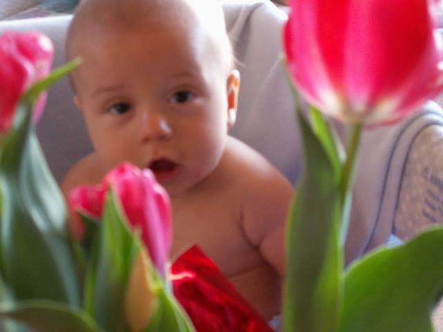 PICT0111.JPG  (23.6 Kb)