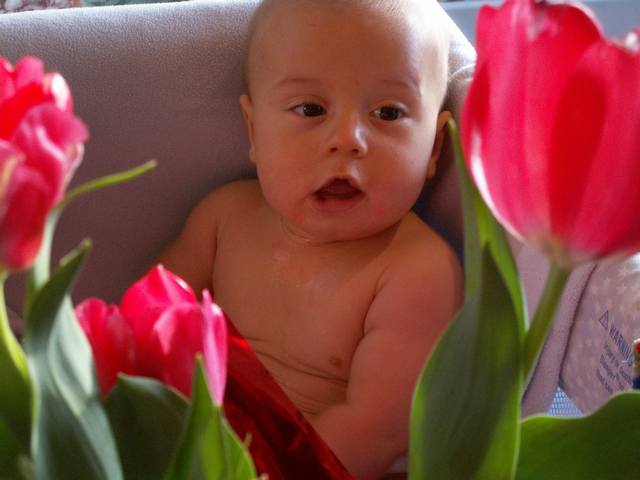 PICT0115.JPG  (28.4 Kb)