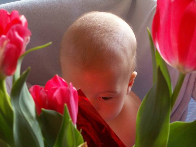 PICT0117.JPG  (27.9 Kb)