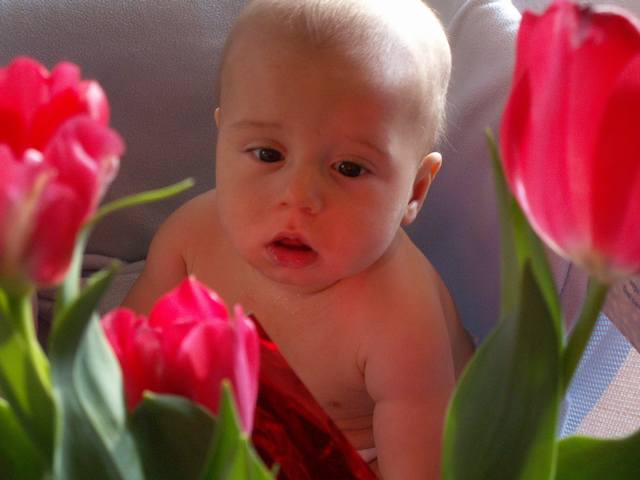 PICT0118.JPG  (26.9 Kb)