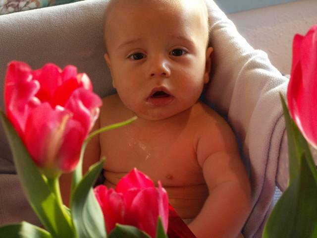 PICT0119.JPG  (29.7 Kb)