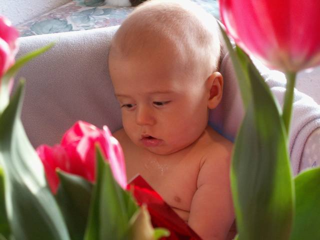 PICT0120.JPG  (29.0 Kb)