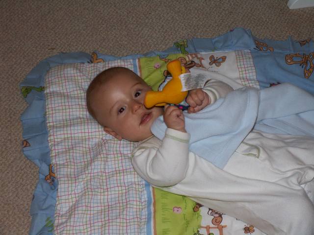 PICT0126.JPG  (41.5 Kb)