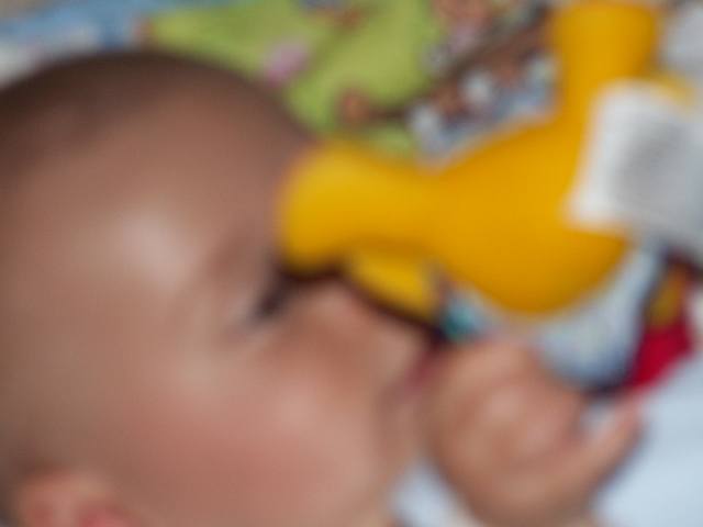 PICT0127.JPG  (15.4 Kb)