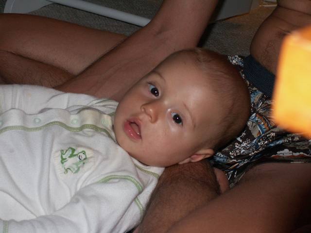 PICT0131.JPG  (29.8 Kb)